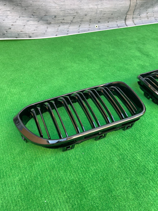 Bmw 1 F20 LCI grill